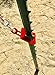Rice Hydro 32 Inch Heavy Duty T Post Puller Set with Lifting Chain Puller | T Post Remover for T Stakes, Metal Fence Post, Sign Post & Tree Stump | Made in The USA