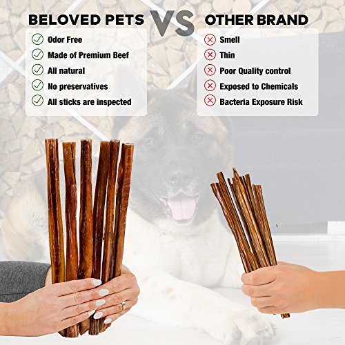 Beloved Pets Thick Bully Sticks for Dogs & Puppies 6 and 12 Inch Best