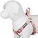 Blueberry Pet Step-in Spring Scent Inspired Floral Rose Baby Pink Dog Harness, Chest Girth 19.5