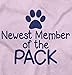 Brisco Brands Newest Member Of The Pack Paw Print Baby Romper Boys or Girls