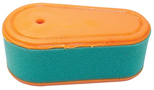 Stens 100-673 Air filter Combo