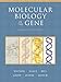 Molecular Biology of the Gene