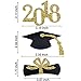 GLEIM Graduation Cupcake Toppers, Mini Cake Decorations for 2019 Congrats Grad Party Supplies (48 Pieces)