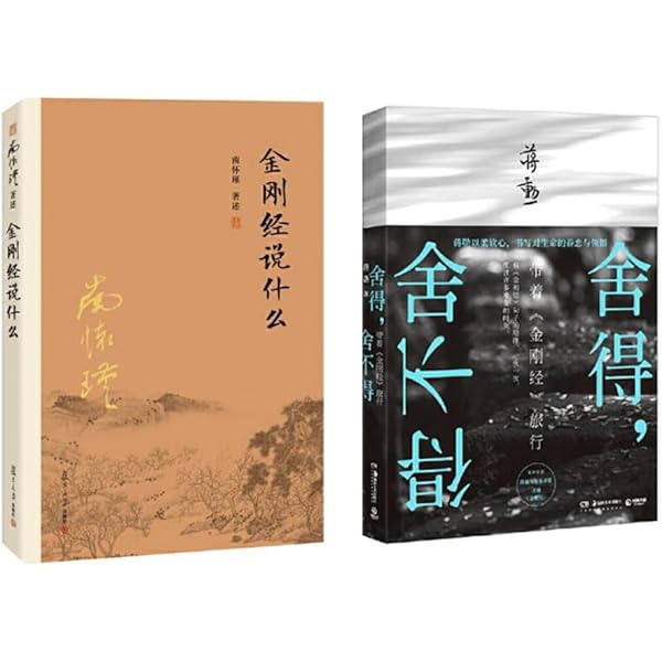 Amazon.com: 中国绘画：元至清（巫鸿“中国绘画”系列收官之作，重新理解