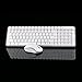 Jelly Comb MK08 Ultra Compact Wireless Keyboard and Mouse Combo Set for Windows and Android, Battery Operated, 2 AA Batteries Needed(Not Included),Silver+White