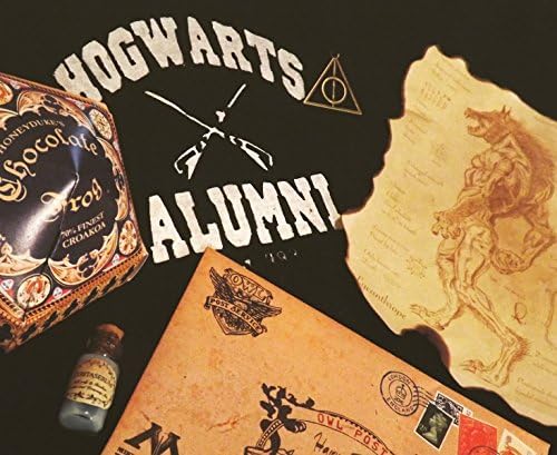 First Year Especial Hogwarts Pack Harry Potter Acceptance letter Wand Bestiary Chocolate Frog Potion tee shirt tshirt