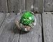 NeutralPure ECO Hanging Glass Plant Terrarium (3 Pcs)