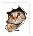 CoSopo 3D Vivid Kid Room Decors Peel & Stick Wall Arts Decals Stickers Murals (Cat)
