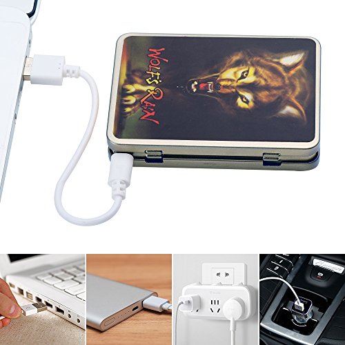 USB Cigarette Case with Lighter Cigarette Box Electronic Flameless Rechargeable Windproof Lighters Can Hold 16 Cigarette Smoke
