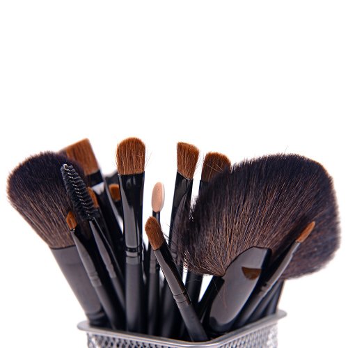 SHANY Studio Quality Natural Cosmetic Brush Set with Faux Leather Pouch, 24 Count