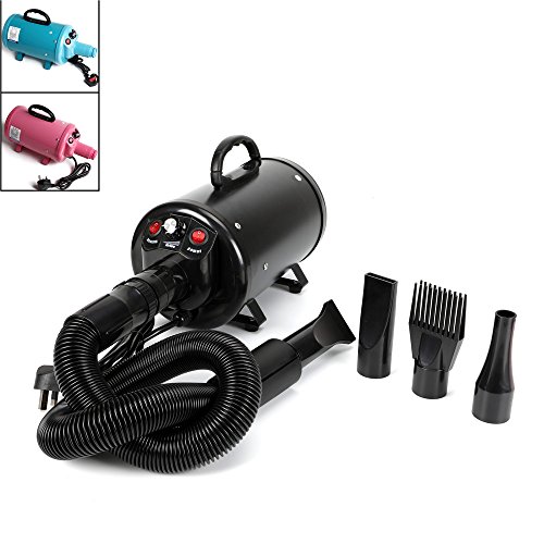 Hair Dryer For Dogs Singapore