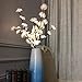Lighted Flowers White Rose Branches 20 Inches Tall Battery Operated Warm White 40 Led Decoration Floral Branch Crafts With Timer by Babali