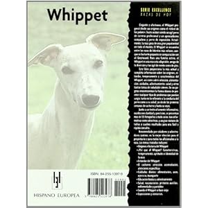 Whippet (Excellence) (Spanish Edition)