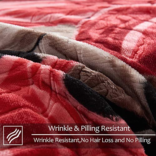JYK Korean Faux Mink Fleece Blanket, 5 LB 2 Ply Reversible 520GSM