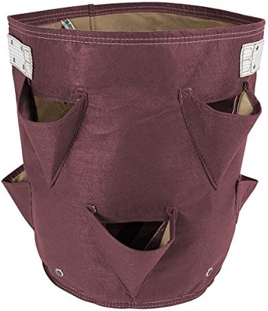 BloemBagz 9.5 Gallon Strawberry Grow Bag Recycled Collapsible Fabric Planter For Planting 12 Plants
