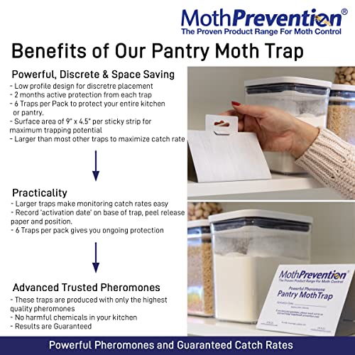 MothPrevention Powerful Pantry Moth Traps Pack of 6 Moth Killer with Pheromones Kitchen Moth