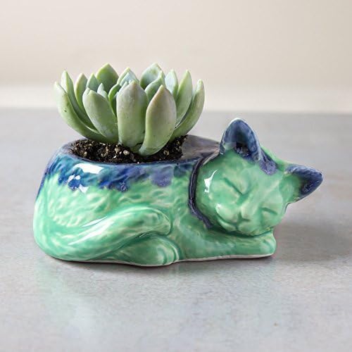 Kitty planter small modern ceramic succulent planter Mint Green Blue Drips