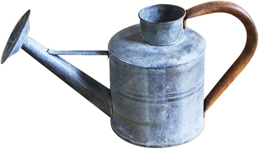 DXDYC Multifunctional Iron Watering Can, Retro Watering Cans for Garden Home Decor Indoor Potted