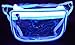 Clear Transparent Fanny Packs (Clear)