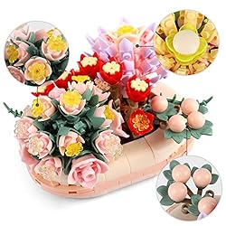 Succulent Bonsai Model Collection Construction