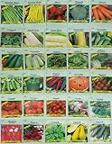 30 Packs of Deluxe Valley Greene Heirloom Vegetable Garden Seeds Non-GMO(Guaranteed 30 Different Varieties as Listed)