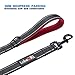 tobeDRI Heavy Duty Dog Leash - Comfortable Padded Handle, 6 ft Long - Dog Training Walking Leashes for Medium Large Dogs with A Free Collapsible Pet Bowl