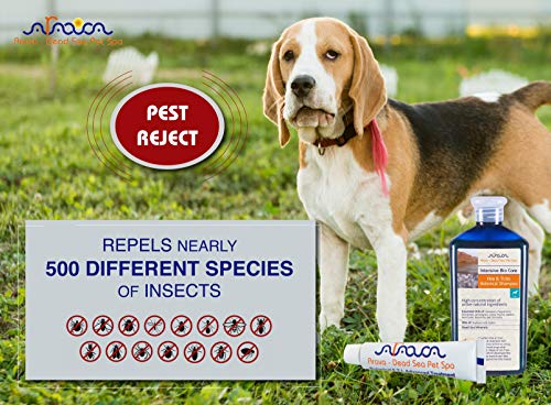 Arava Natural Flea & Tick Prevention for Dogs - 4-Doses - 100% Safe Dog Flea & Tick Control - Repels Pests with Natural Oils - Safe on Skin and Coats - Enhanced Defense & Prevention (3 Variations)