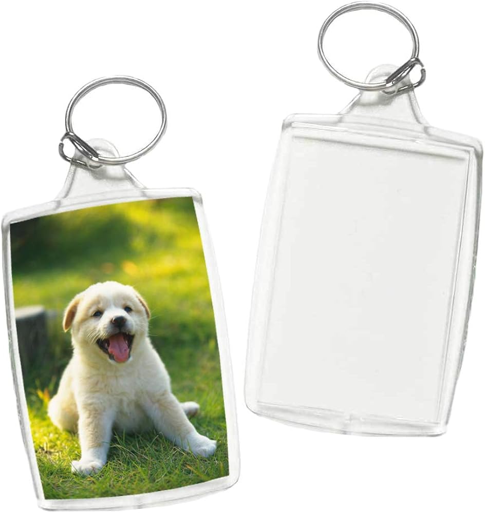 30 Pcs Acrylic Photo Frame Keyrings, Clear Picture Insert Keychains, Snap-in Custom Personalized Keychain for Gift, Artwork (Rectangle, 1.5 x 2.1 Inch) at  Men’s Clothing store