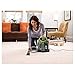 BISSELL Little Green ProHeat Portable Spot & Stain Cleaner - Chacha Lime 5207G