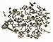 IBS 100 Gram Mixed Antique Skeleton Keys Charms Pendants for Craft Necklace Jewelry Making (Bronze)