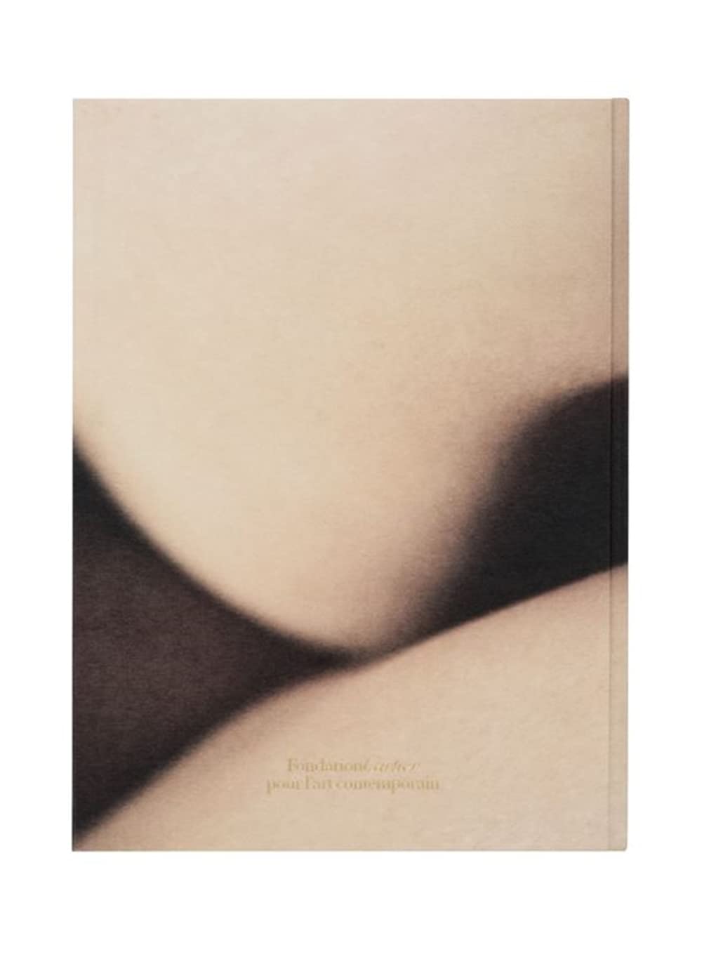 David Lynch: Digital Nudes David Lynch: Digital Nudes Hardcover