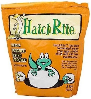 amazon reptile store