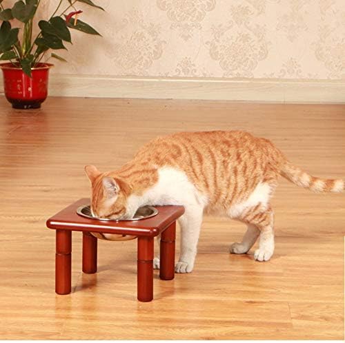 カメラ 人気 犬