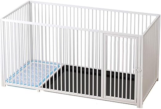 breeding f1b goldendoodle