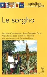 Le  sorgho