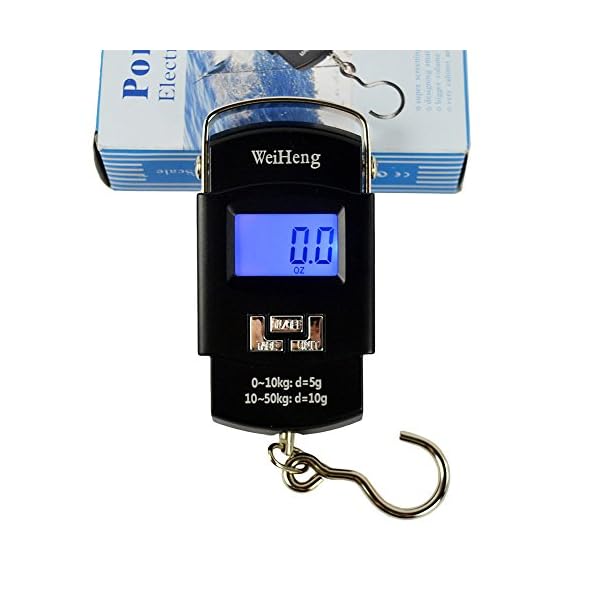 WiseField-110lb50kg-Electronic-Digital-Hanging-Luggage-Fishing-Hook-Scale-Black