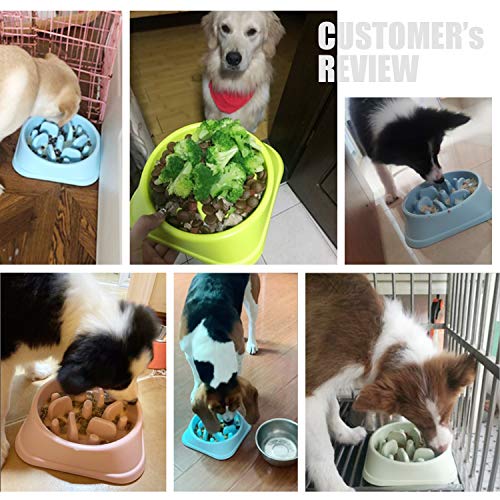 XZQTIVE Dog Slow Feeder Bowl, Interactive Bloat Stop Puzzle Bowl Slower