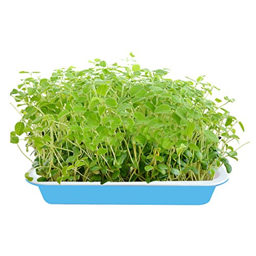 Seed Sprouter Tray, RuiyiF 2 Set Seed Germination Trays with Water Tray, Wheatgrass Tray/Bean Sprout Grower (Blue + White) - Thumbnail 3
