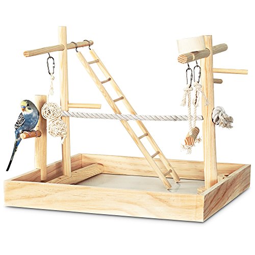 You & Me 3-in-1 Playground for Birds, 15" L X 15" W X 16" H, 15 in - Thumbnail 3