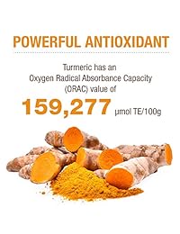 Turmeric Curcumina 0.0529 oz, 2 meses de suplemento, 120 cápsulas veganas con extracto de piperina...