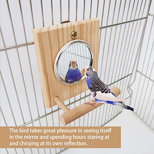 BLSMU Bird Mirror with Wooden Perch,Birdcage Fun Platform Stand Toys for Parrots,Budgies,Cockatiels,Conures, Lovebirds, Hummingbird, Parakeet and Finch