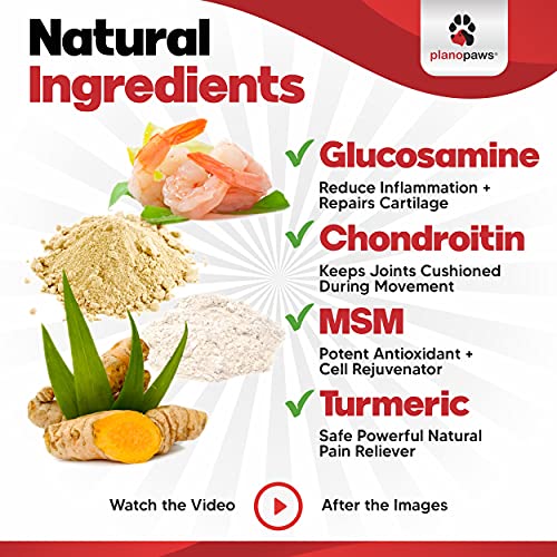 Glucosamine for Dogs Hip and Joint Supplement Safe Joint Support for