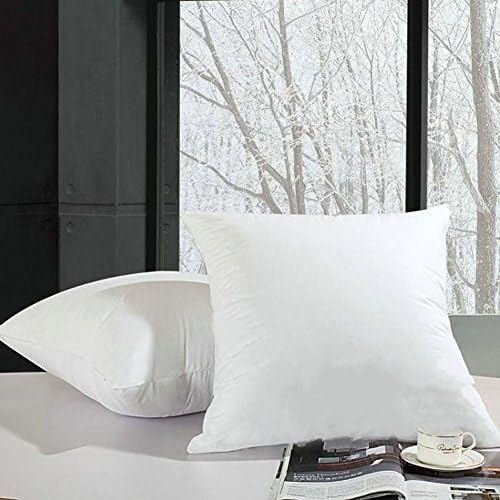 Amazon Com Fbts Prime Throw Pillow Insert 18x18 Inch 2 Pack