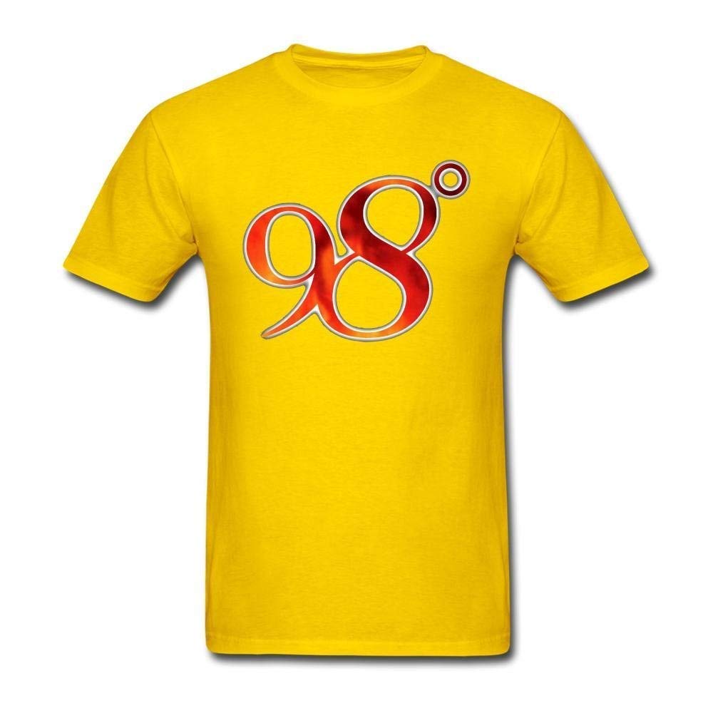 Nice T 98 Degrees Male S T Shirt 8088 Jznovelty