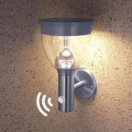 Amazon.com: dust to dawn outdoor lighting