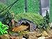 OIIKURY Aquarium Decorations Fish Tank Ornament Reptile House Shelter Decor Aquarium Hillside with Betta Cavethumb 1