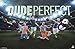 Trends International Dude Perfect-Group Wall Poster, 22.375