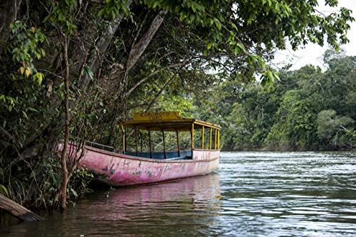 Amazon Com Ideas Para Decorar Paredes Oficina Casa Consultorio