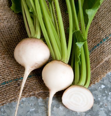 David's Garden Seeds Beet Blankoma D2001 (White) 500 Open Pollinated Seeds David's Garden Seeds Beet Blankoma D2001 (White) 500 Open Pollinated Seeds