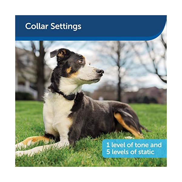 PetSafe Stay & Play Compact Wireless Fence for Dogs & Cats, Waterproof